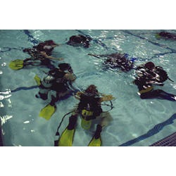 Open Pool Night